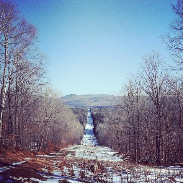 The 70-foot wide, 326-mile right of way for the Portland-Montreal Pipeline. Photo by Brett Chamberlin.