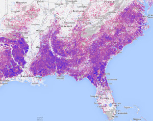 Intensive plantation forestry, among other land uses, appears as a dense mixture of forest loss (in red) and regrowth (blue) in the Southeastern U.S. Screen capture from GFW.