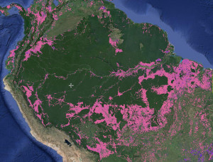 The red swath from the south to the northeastern Amazon shows Brazil's "Arc of Deforestation." Screen capture from GFW.