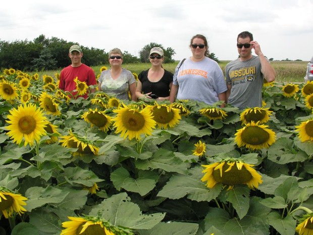 NWF agriculture team in Kansas sunflower field, August 2013. Photo: Julie Sibbing