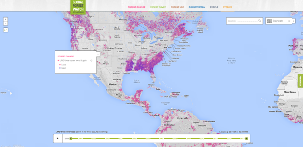 Global Forest Watch Map