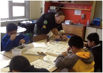 PS 57 students identify macroinvertebrates from their samples.