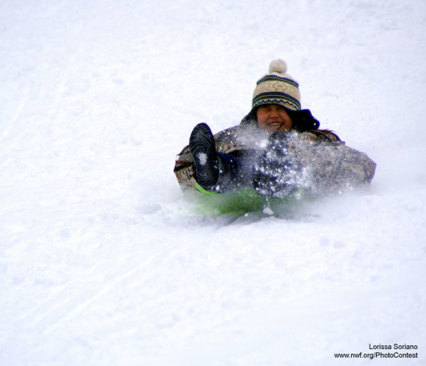 Child sledding by Lorissa Soriano