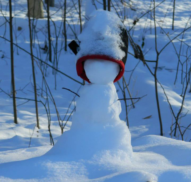 Snowman by Dani Tinker.