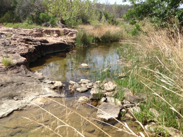 This intermittent Texas stream flows into Inks Lake, one of Austin's water supply reservoirs. Photo: Lacey McCormick