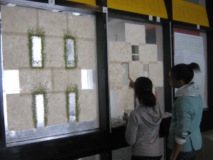 Students witnessing plants growing from handmade paper. Photo by Michele Brody.