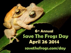 save frog day