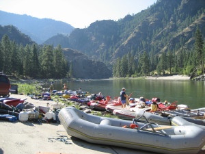 rafts on forested river