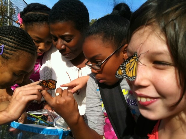 Students at PS 146 - the New School in Brookly, NY explore pollinators in their Schoolyard Habitat. Photo courtesy PS 146.