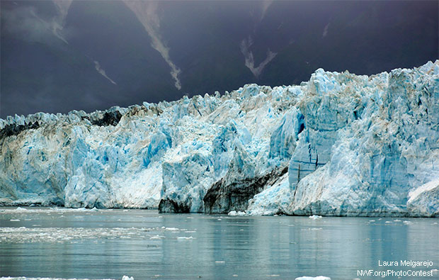 Hubbard glacier