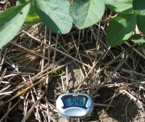 July 23rd 2014 soil temp reading in no till covers