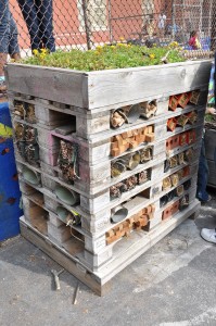 Students at PS 146 have created a bug hotel to help provide shelter for pollinators and other insects or "bugs" at their schoolyard habitat. Photo courtesy PS 146.