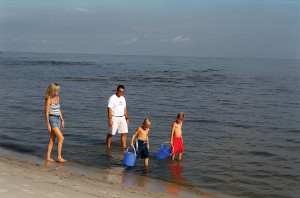 Photo courtesy of the MS Gulf Coast Convention and Visitor's Bureau