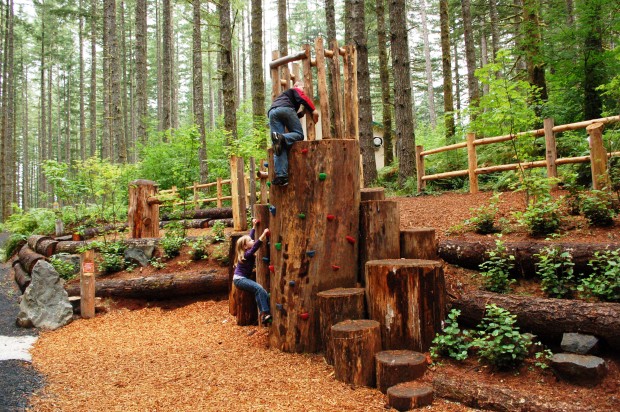 Cougar Climber_OREGON PARKS AND RECREATION DEPARTMENT