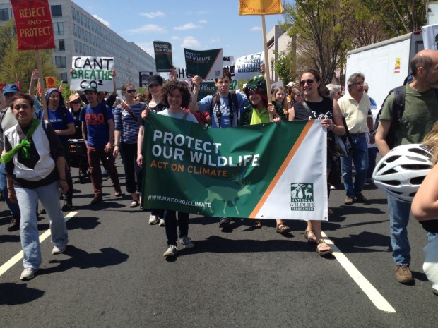NWF marching for wildlife #actonclimate