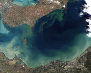 Lake Erie Algae Bloom. Photo from NASA, via Wikimedia Commons.