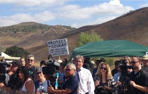 cougar sign rally
