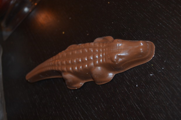 chocolate alligator