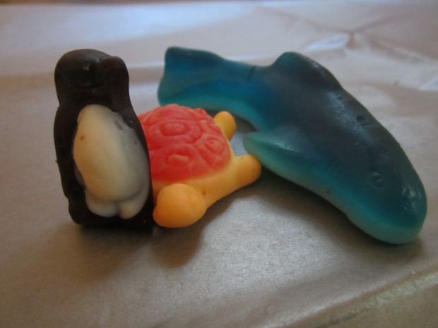 gummy shark turtle and penguin