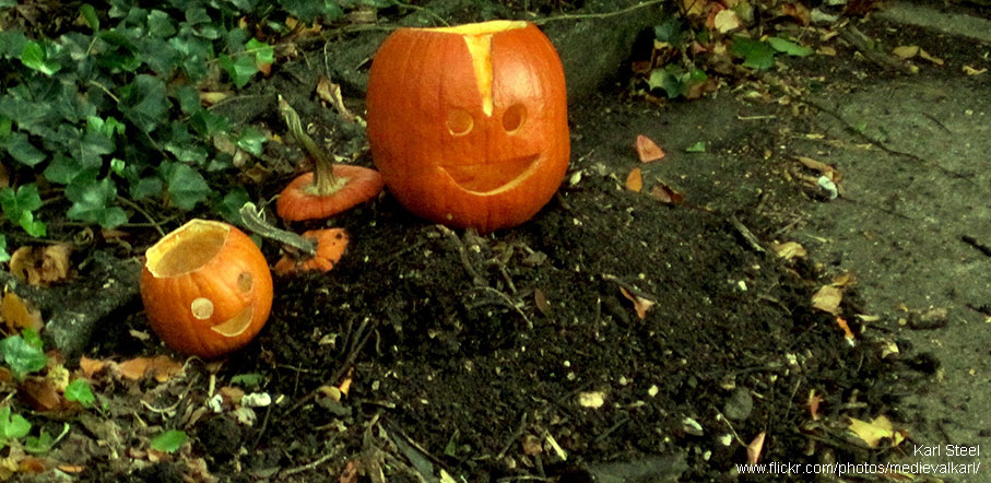 Pumpkins can make a great addition to compost bins or piles. Photo by Karl Steel.