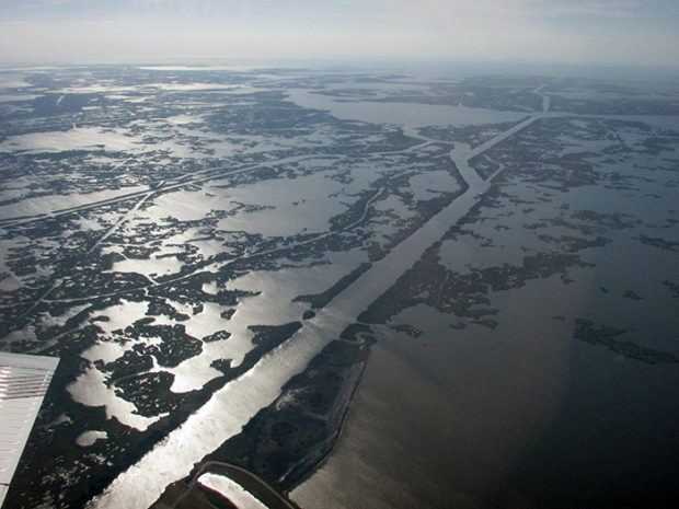 aerial view of the Mississippi River Delta