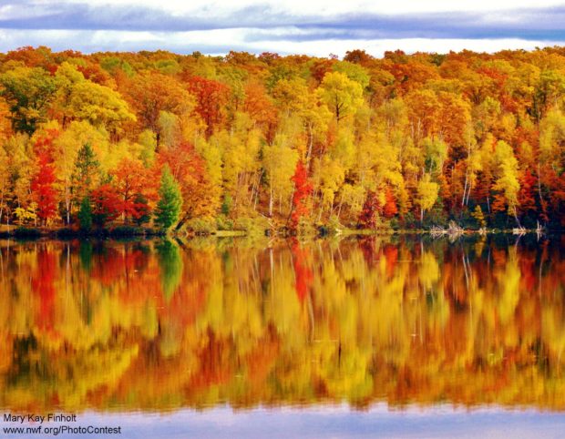 Autumn in the northwoods of Wisconsin on a small lake by National Wildlife Photo Contest entrant Mary Kay Finholt.