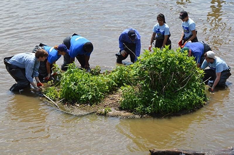 Historic Day for Clean Water - The National Wildlife Federation Blog