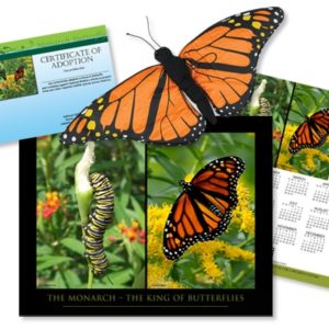 Adopt a monarch butterfly and support pollinator conservation.