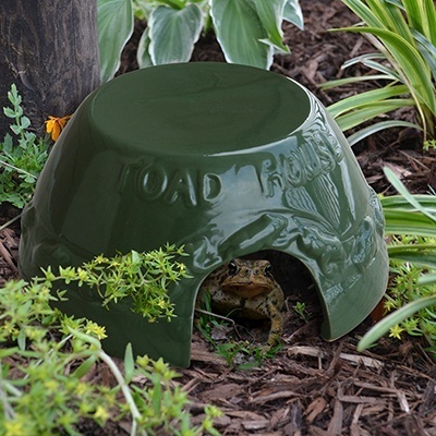 Toad house