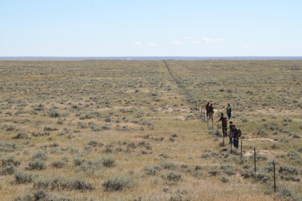 MCC crews marked over 20 miles of fence, increasing visibility to grouse and other sagebrush species