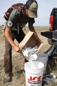 A MCC crew member prepares to mark fences in Phillips County, Montana. Roughly 30,000 flags were used in the two weeks of work.