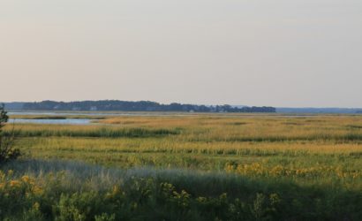 Great Marsh at Dusk by NWF