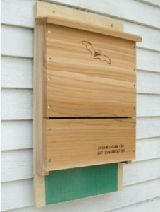 Bat houses will attract bats if mounted properly. 