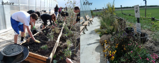 Construction of Interpretive Gardens, Before and After. Photo by Denise Scribner, teacher, Eisenhower High School USD #265