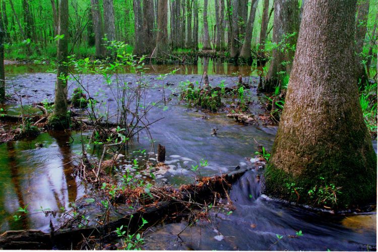 TCA works to conserve streams and other waterways in Texas. Photo by Adrian Van Dellen