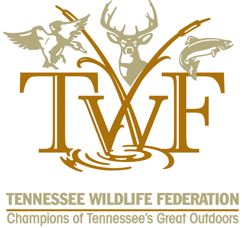 Affiliate of the Week Tennessee Wildlife Federation The National