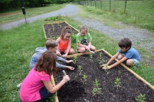 Students working on garden. Photo by NCWF