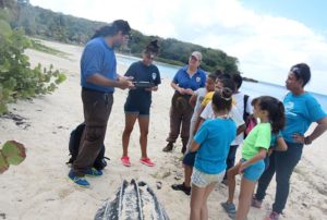 Volunteers help with turtle conservation at the Vieques refuge. Photo by USFWS