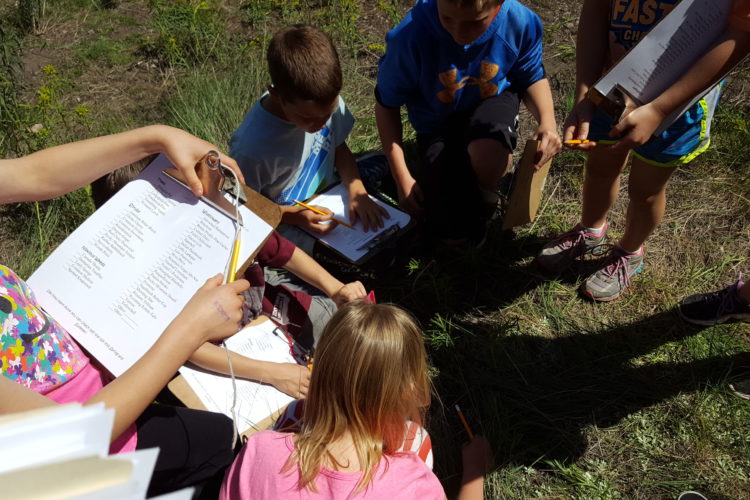 Lolo School students learn to identify native plants and noxious weeds in May, 2016. Photo by Juliet Slutzker