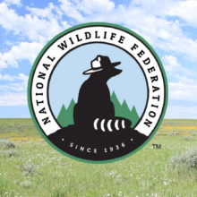 American prairie