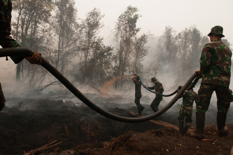 Army officers work to put out a fire in Central Kalimantan, Indonesia. An estimated two million hectares (about the size of Massachusetts) of Indonesian forest burned last fall. Photo by Aulia Erlangga/ CIFOR