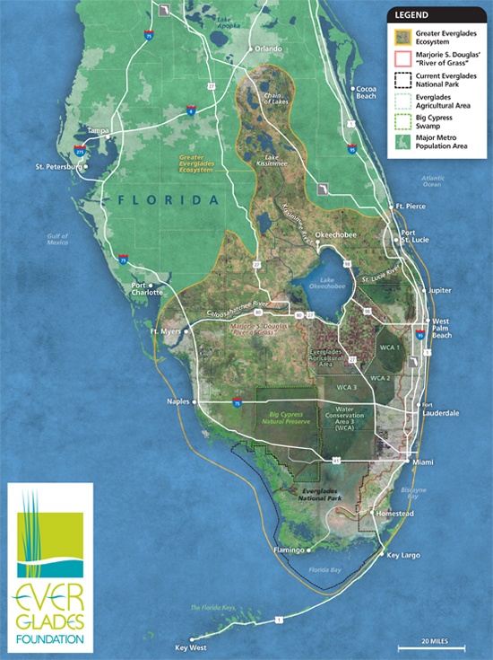 Polluted freshwater from Lake Okeechobee is flushed to the east through the St. Lucie River and to the west through the Caloosahatchee River. This damages the delicate estuaries where the rivers meet saltwater. Meanwhile to the south, Everglades National Park & Florida Bay are not receiving enough clean freshwater. Everglades Foundation map.