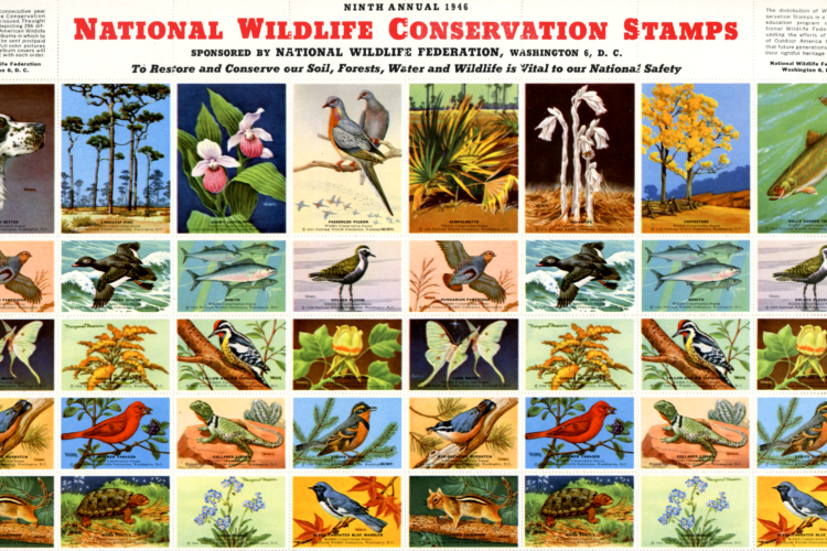 1946 Wildlife Stamps