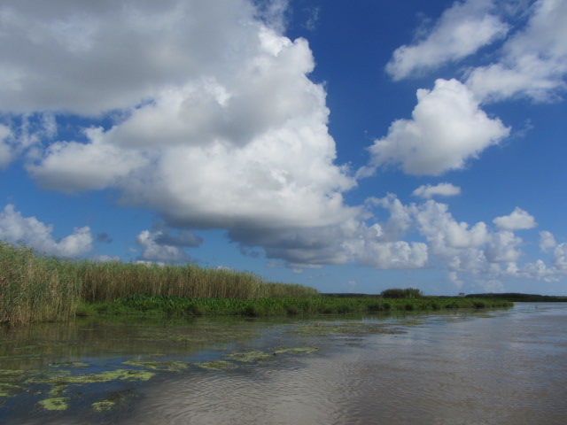 Coastal Louisiana is at the forefront of climate change. Photo from NWF