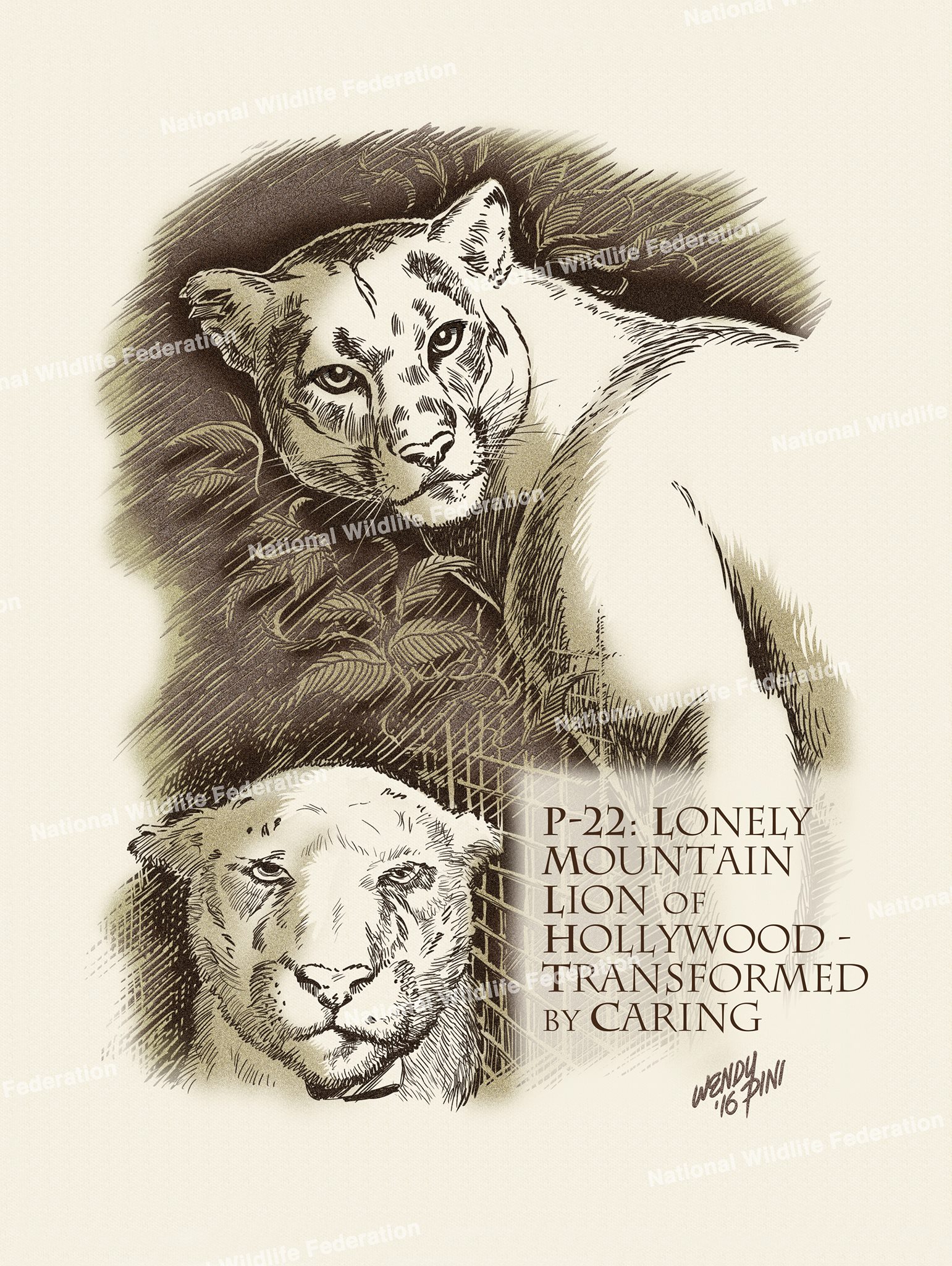 Artist Supports Cougar Conservation With Exclusive Prints The National Wildlife Federation Blog 1825