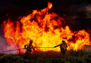 Wildfire. Photo by USFWS