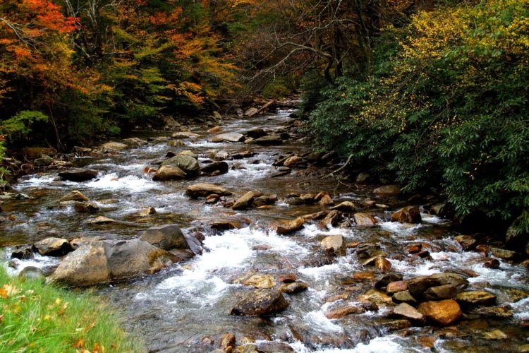 great_sm_mtns_np_fall_stream_pixabay