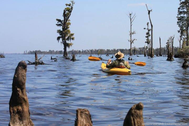 louisiana-lost-lands-environmental-tours_swamp