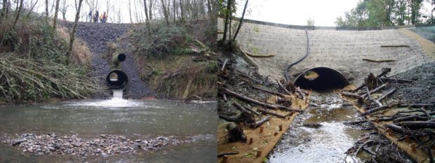 Culvert restoration before and after. Photo from Washington DNR