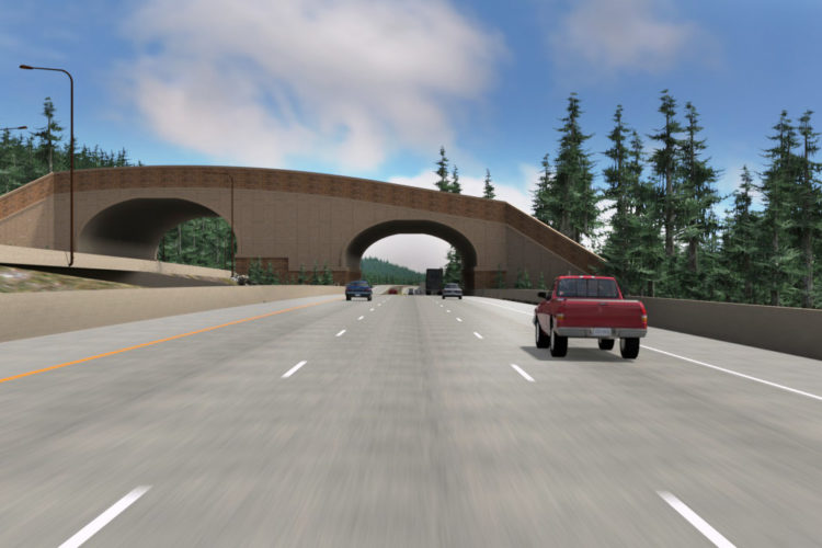 the-first-wildlife-bridge-over-interstate-90-now-under-construction-graphic-wsdot